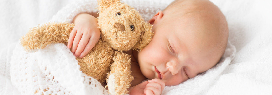 Peluche Ours