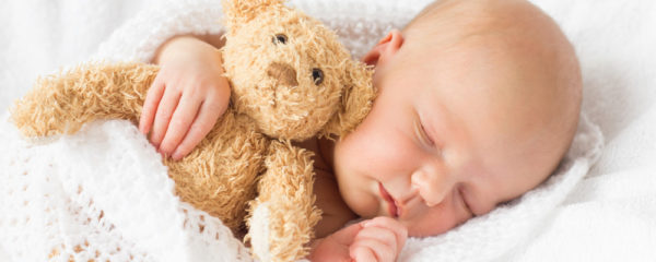Peluche Ours